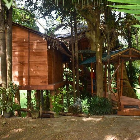 Villa Kumbuk Tree House Tissamaharama Exterior foto