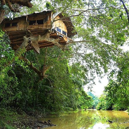 Villa Kumbuk Tree House Tissamaharama Exterior foto