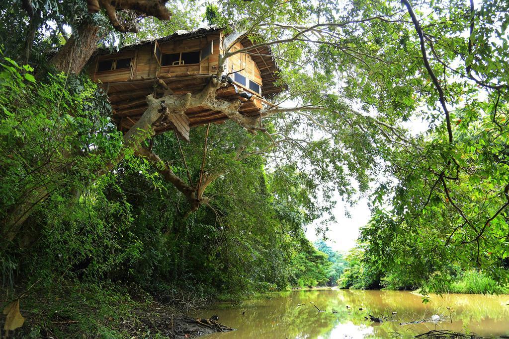 Villa Kumbuk Tree House Tissamaharama Exterior foto