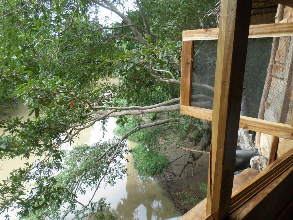 Villa Kumbuk Tree House Tissamaharama Exterior foto