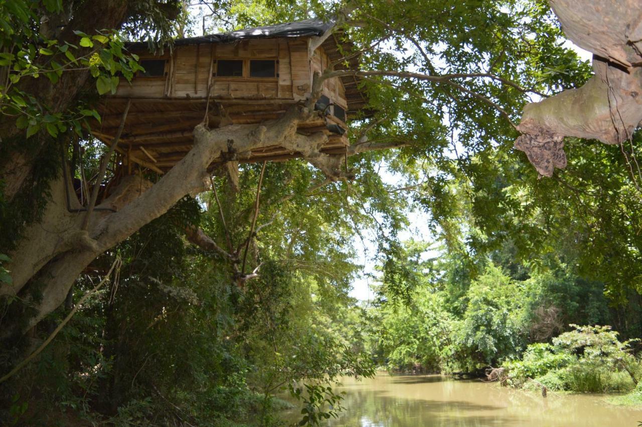 Villa Kumbuk Tree House Tissamaharama Exterior foto