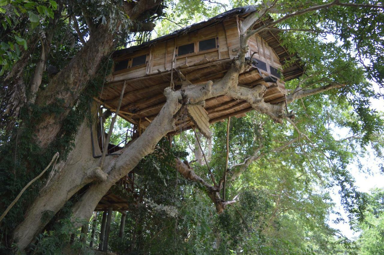 Villa Kumbuk Tree House Tissamaharama Exterior foto